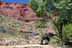 Lush green vegetation at Indian Garden against red rocks